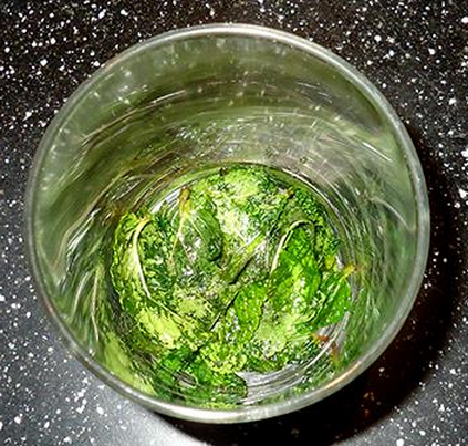 mohito1