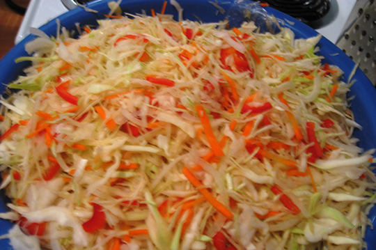 kapusta_delikatesnaya6