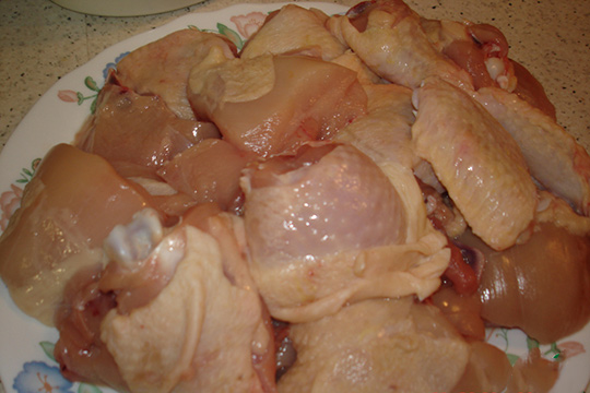 kuruchka_v_apelsinah1