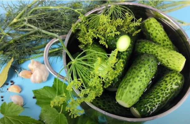 Малосольные Огурцы. Вкусные,Хрустящие. Бабушкин рецепт