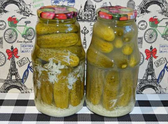 ОГУРЦЫ С ЧЕСНОКОМ («ПОД СНЕГОМ»)